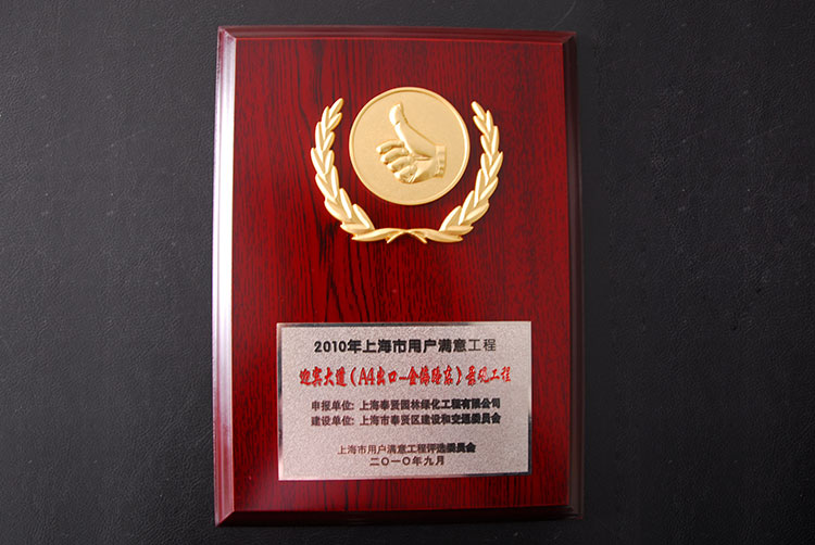 2010年用(yong)戶(hu)滿(man)意工(gong)程（迎(ying)賔(bin)大道景(jing)觀工(gong)程(cheng)）.jpg